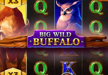 Игра Big Wild Buffalo в казино Рубин
