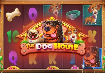 Игра The Dog House в казино Рубин